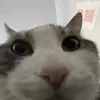 jaymundomakeup