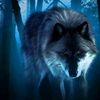 🧿🐺Elena🐺🧿