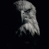 ghadirrsale7_