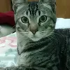 lau.velaz01