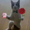 bilyandhaan05