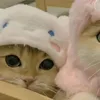 haiii_103675