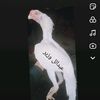 user8700127620023