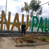 al.raider7