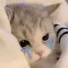justforyouus