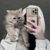 jory_jemy