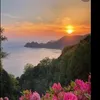 byrosaarmando