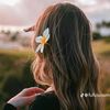 gulum_841