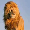 abdelkrimd48