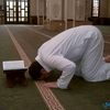 mohamed55fahmy