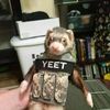 darksquirrell85