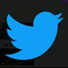 findingbulbul13