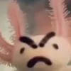 yaroxie0.0