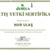 jestea_trextea_official