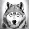 the.woman.wolf