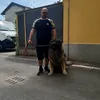enzoalagna879