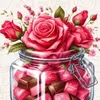 um_ali9801