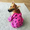 cheeky_shiba
