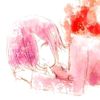 noct1lukaa