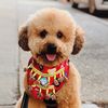 charlie.brown.nyc