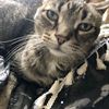 liz_3692