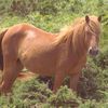 bakary590