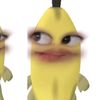 rttulblla