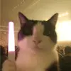 jeonnwo