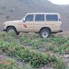 fahad_2231