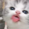 ziizzzzaahhh