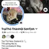 traithohuythanh76d1