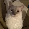lokarfn