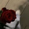 manar80046
