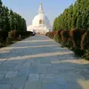 rajthapa4672