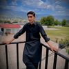 rabib804