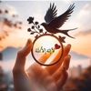 abubakarhafeez070