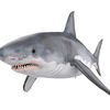 rand0m._.shark