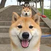 ononoku