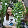 nui_homeandgarden