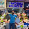 akdenizbalikcilik