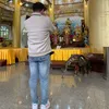 tieubao173