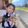 sweetefarm
