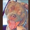 arnaldo_gonzalez_tato