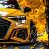 zoli_1022