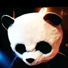 pandinhowalker