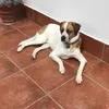 patriciapadilla2579