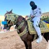 hassenali461