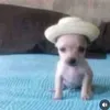oxiiiimano_