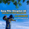 vsang079