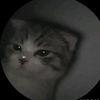 jozue_vxy